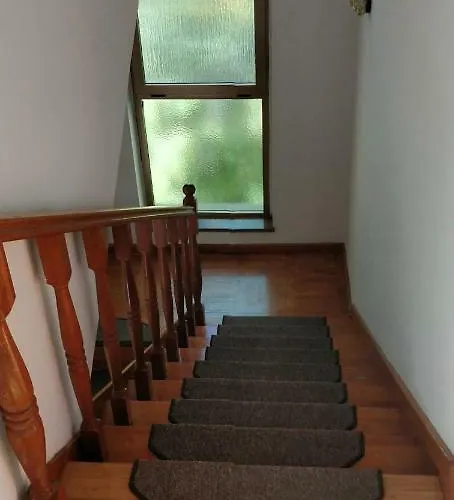 Appartamento Local Lifestyle Zara